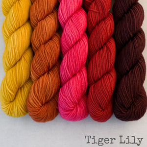 Simply Sock 5-Pack Mini Skeins in Tiger Lily Semi Solid