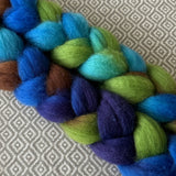 BFL Wool Roving - Peacock