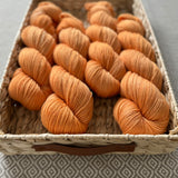 Indulgence Yarn - Apricot Semi-Solid