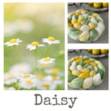 Pre-Order for Daisy Fibers - April Birth Flower