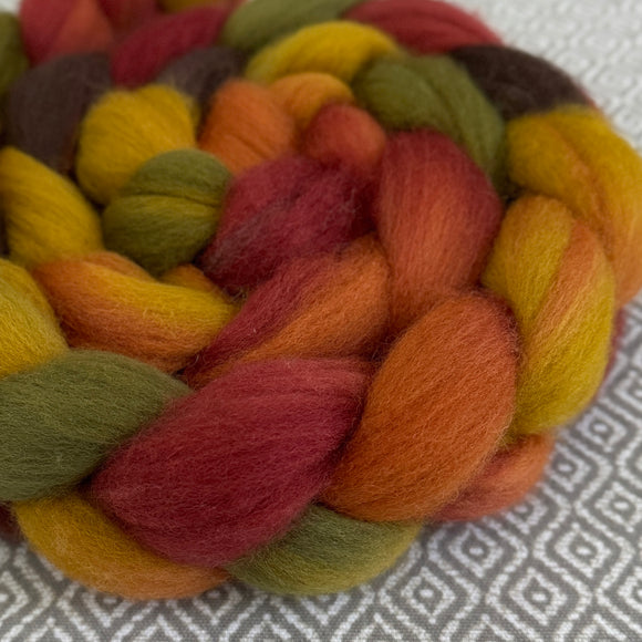 BFL Wool Roving - Autumn Leaves