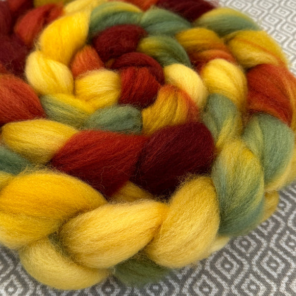 Sock Roving - Harvest