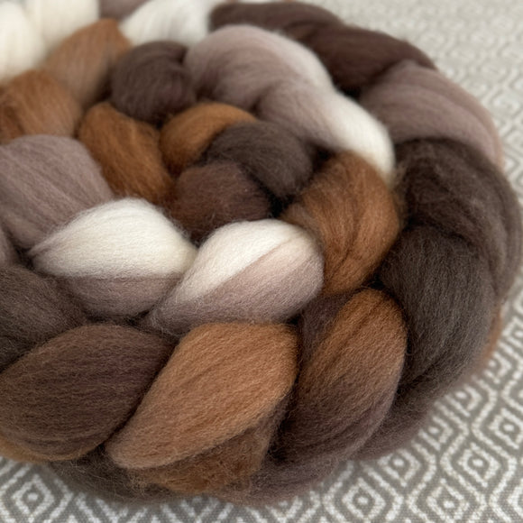 Polwarth Wool Roving - Cappuccino