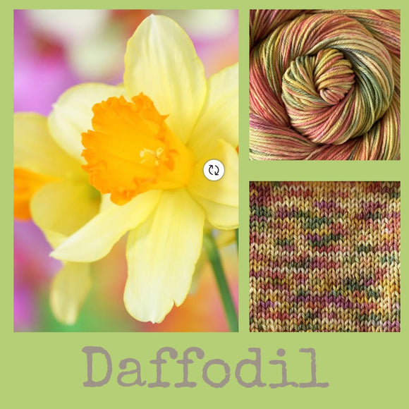 Pre-Order for Daffodil Colorway - Yarns