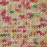 Simply DK Yarn - July Birth Flower - Waterlily