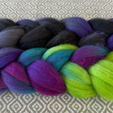 Polwarth Wool Roving - Northern Lights