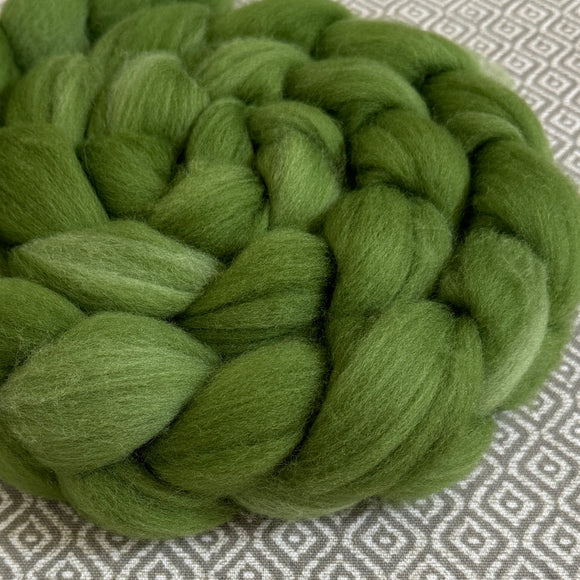 Polwarth Wool Roving  - Green 485 - OOAK