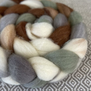 BFL Wool Roving - OOAK - Hen House
