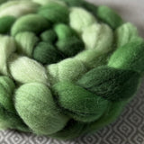 BFL Wool Roving - Shades of Emerald