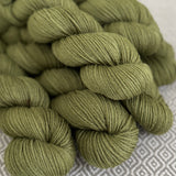 Heartland Worsted Weight Organic Merino Yarn - Olive