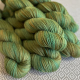 Heartland Worsted Weight Organic Merino Yarn - Moab