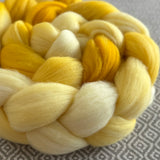 Pre-Order for Shades of Sunshine August - Fibers