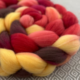 Shaniko Wool Roving - Embers