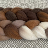 Polwarth Wool Roving - Cappuccino