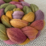 Polwarth Wool Roving - Grapevine