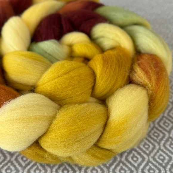 Polwarth Wool Roving - Harvest