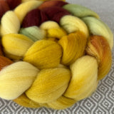 Polwarth Wool Roving - Harvest