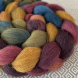 Polwarth Wool Roving - Bountiful