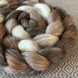 Merino Tencel Roving - Cappuccino