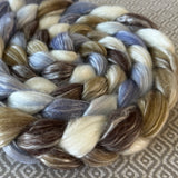 Merino Tencel Roving - Sandpiper