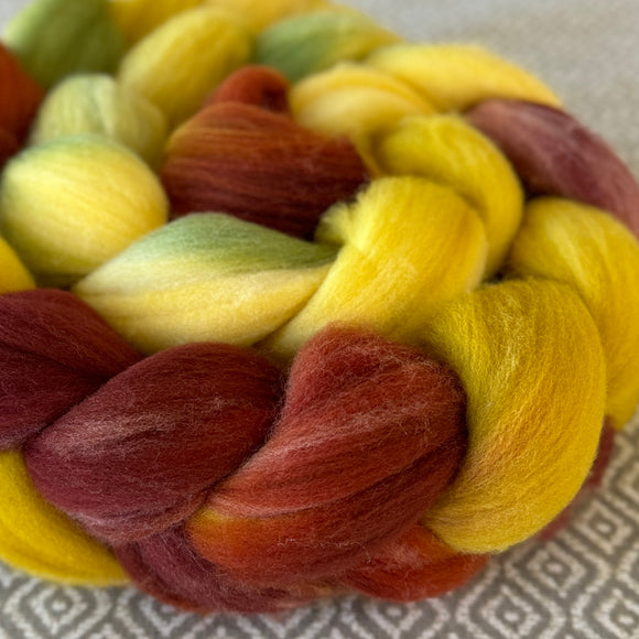 Targhee Wool Roving - Harvest
