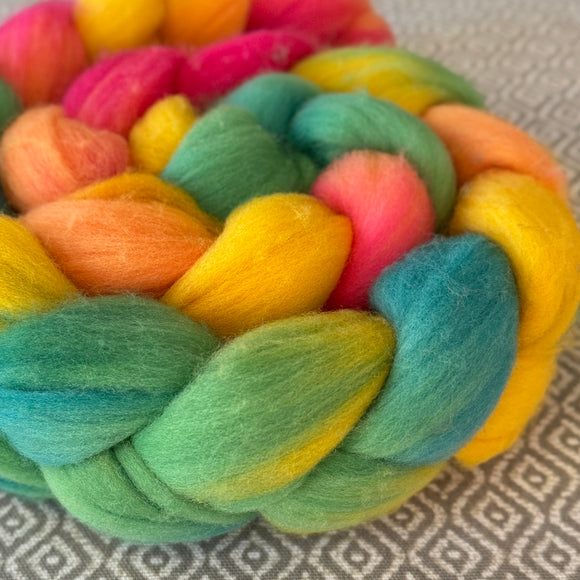 Rambouillet Wool Roving - OOAK - Celebration