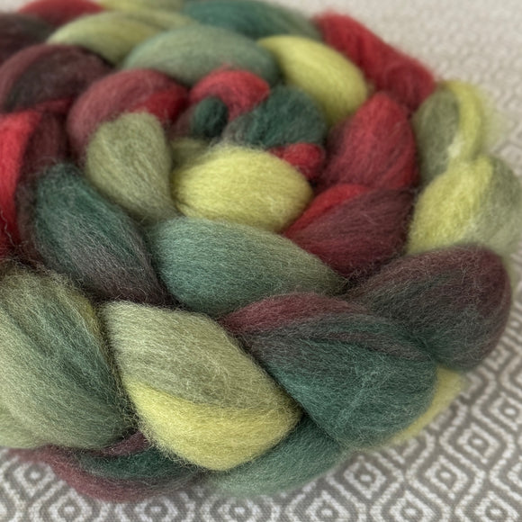 BFL Wool Roving - Holly Berry
