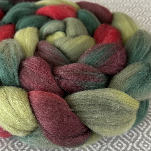 Merino Superfine Roving - Holly Berry