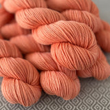 Heartland Worsted Weight Organic Merino Yarn - Melon