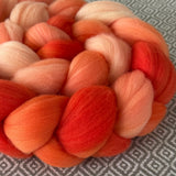 Merino Superfine Roving - Shades of Tangerine