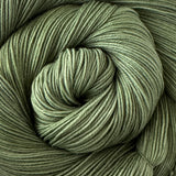 Simply Sock Yarn - Sage Semi Solid