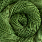 Heartland Worsted Weight Organic Merino Yarn - Emerald