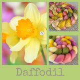 Pre-Order for Daffodil Fibers - March Birth Flower