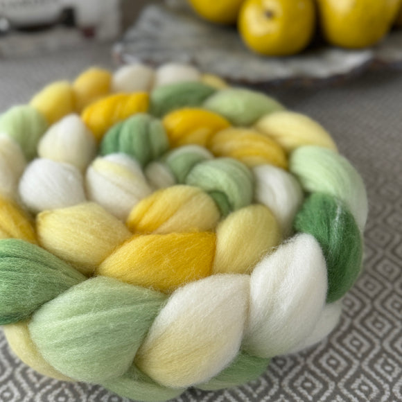 Polwarth Wool Roving - Daisy