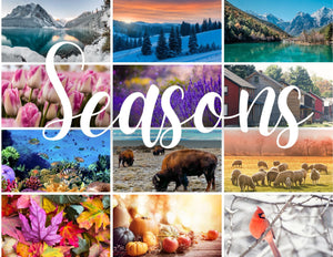 "Seasons" Monthly Fiber Subscription - See Full Description Below - Spin Off