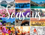 "Seasons" Monthly Fiber Subscription - See Full Description Below