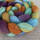 Polwarth Wool Roving - Arizona