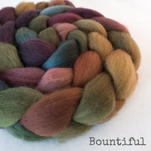 Polwarth Wool Roving - Bountiful