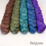 Merino Yak Silk Roving - Calypso - Bundle