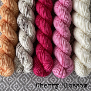 Simply Sock 5-Pack Mini Skeins in Cherry Blossom