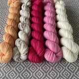 Simply Sock 5-Pack Mini Skeins in Cherry Blossom