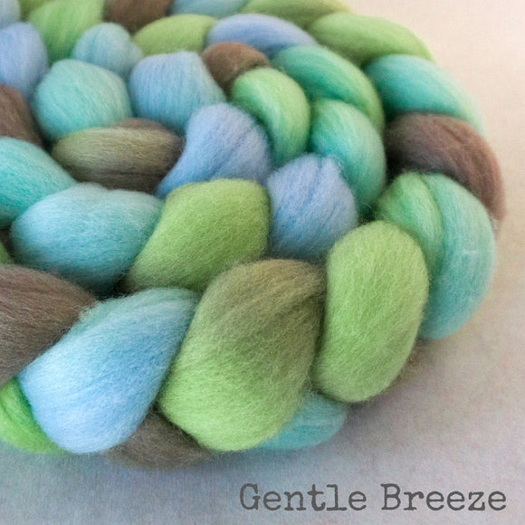 Polwarth Wool Roving - Gentle Breeze