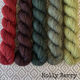 Simply Sock 5-Pack Mini Skeins in Holly Berry Semi Solid