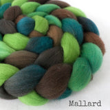 Falkland Wool Roving - Mallard