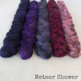 Heathered BFL Roving - Meteor Shower - Bundle