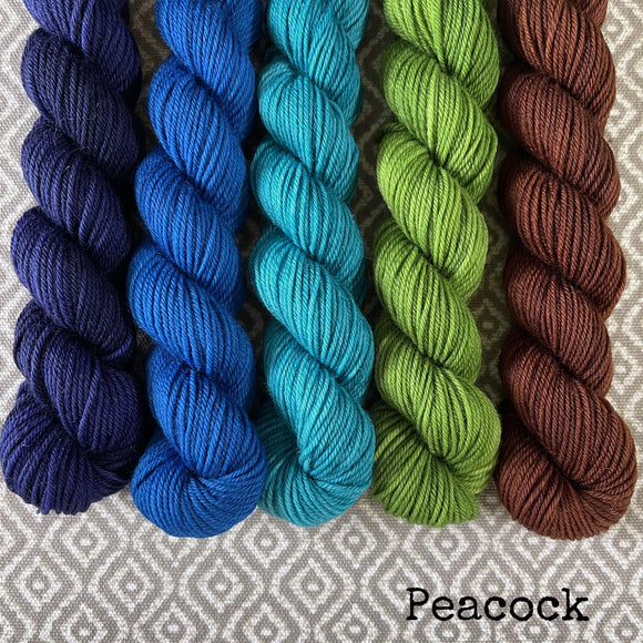 Simply Sock 5-Pack Mini Skeins in Peacock Semi Solid