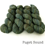 Yakity Yak Fingering Weight Yarn - Puget Sound
