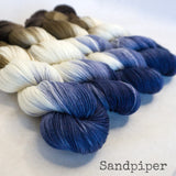 Simply Sock Yarn - Sandpiper Chroma