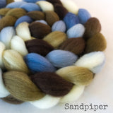 BFL Wool Roving - Sandpiper