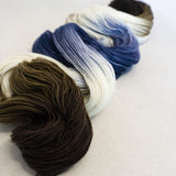 Simply Sock Yarn - Sandpiper Chroma